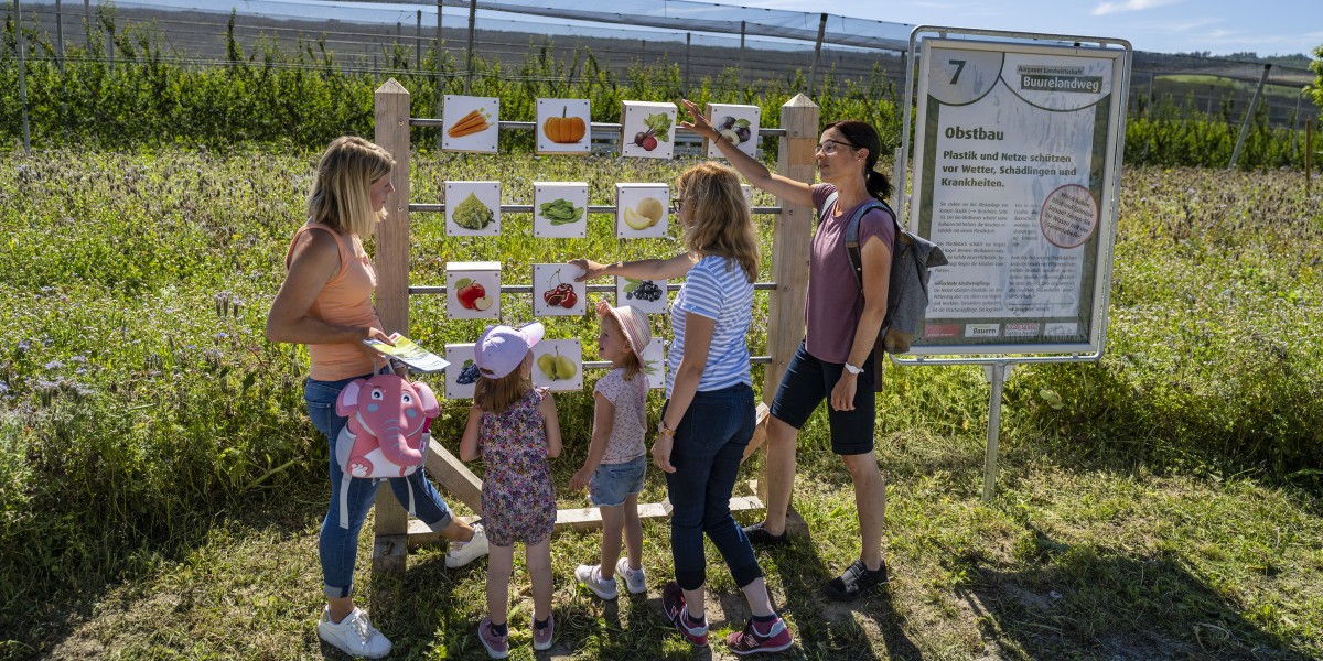 Titelbild des Events: Buurelandweg, Spreitenbach